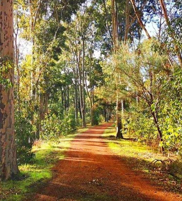 Mahogany Inn And Distillery Mahogany Creek Экстерьер фото