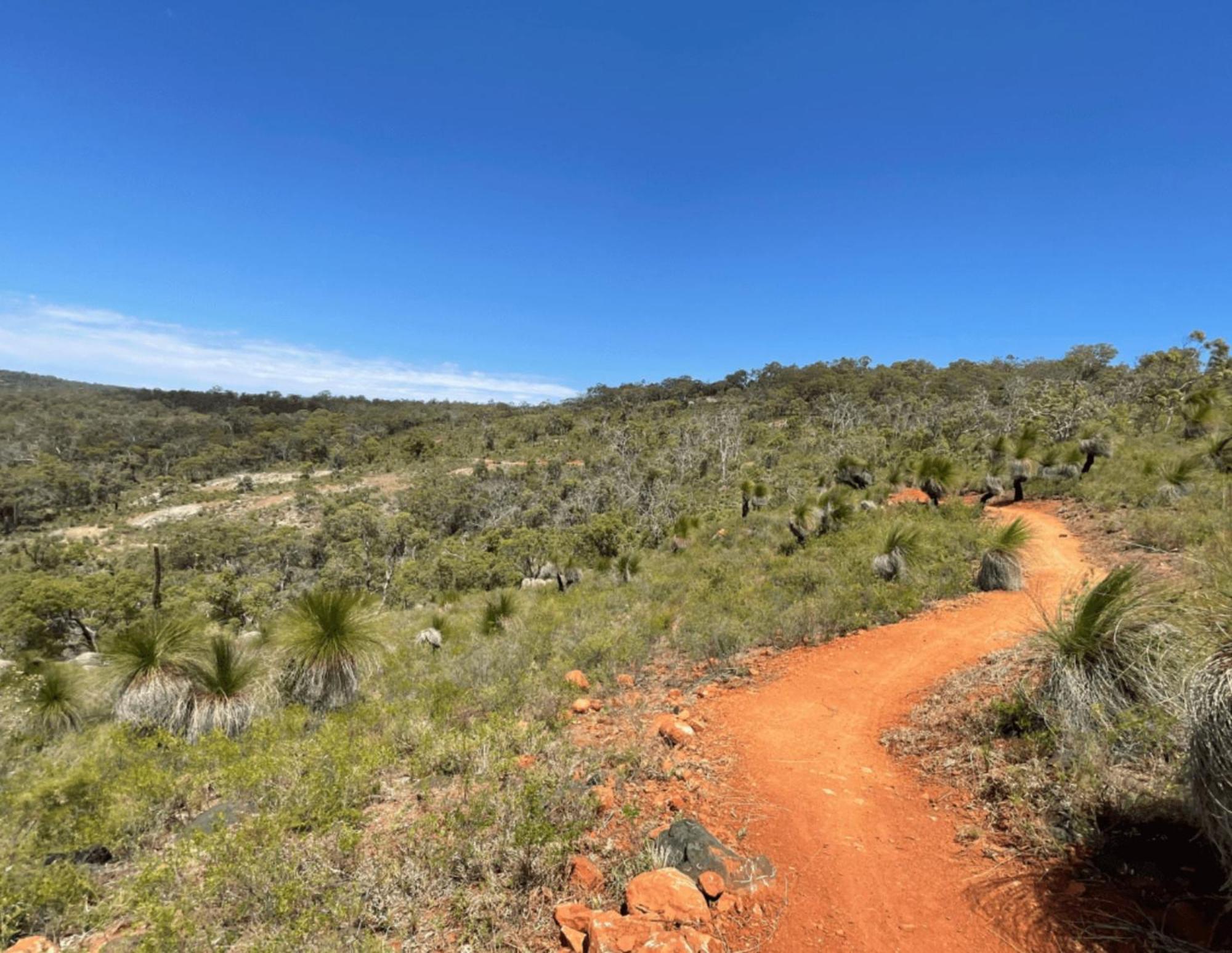 Mahogany Inn And Distillery Mahogany Creek Экстерьер фото
